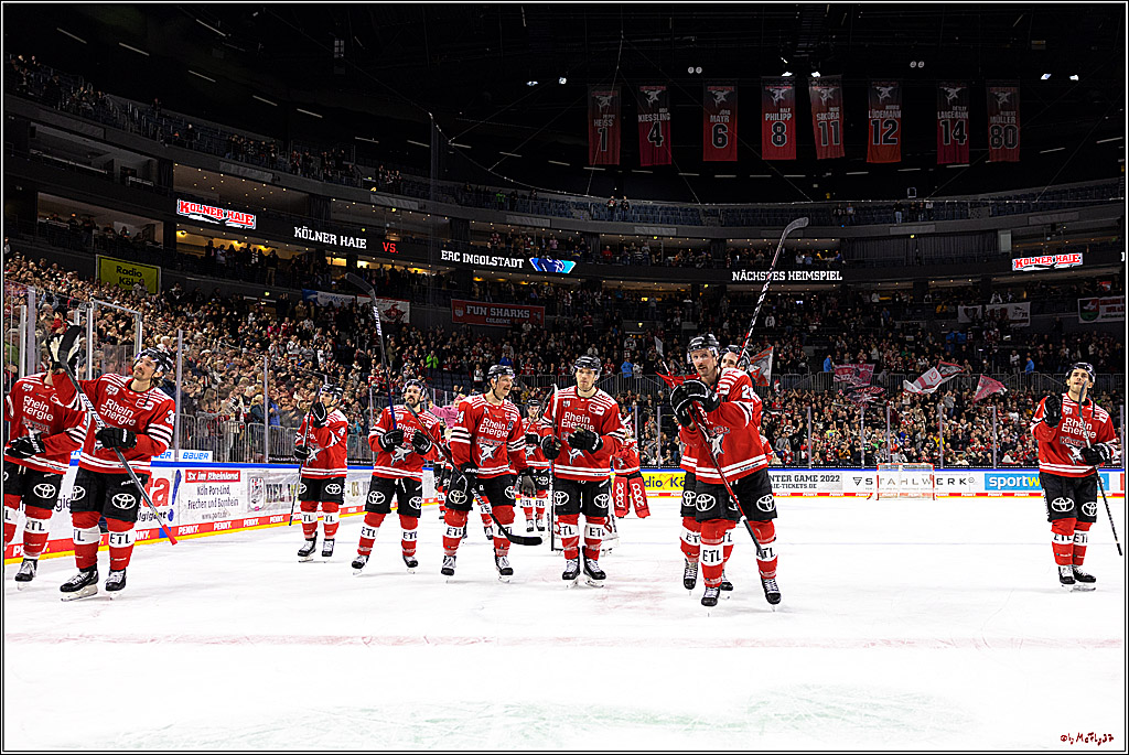 PENNY DEL;  Kölner Haie - Nuernberger Ice Tigers; Köln, 18.11.2022